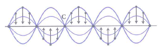 image7.png