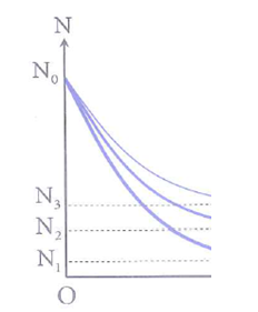 image7.png