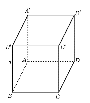 image7.png