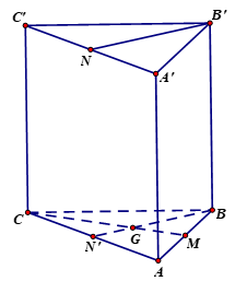 image7.png