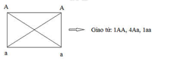 image7.png