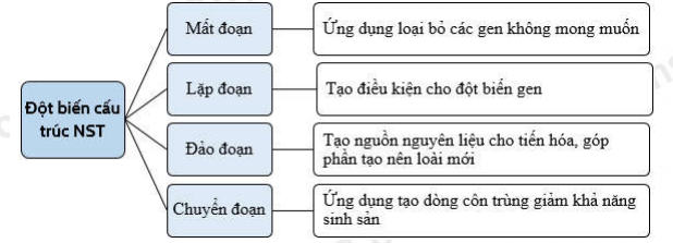 image7.png