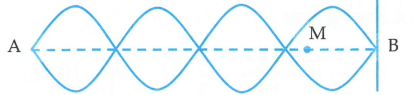 image7.png