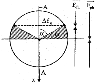 image7.png