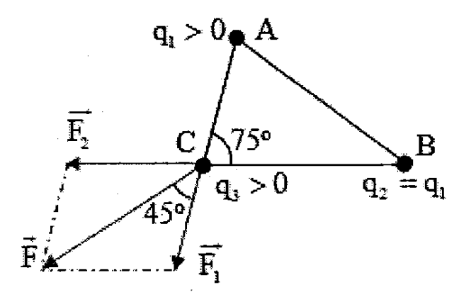 image7.png