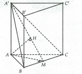 image7.png