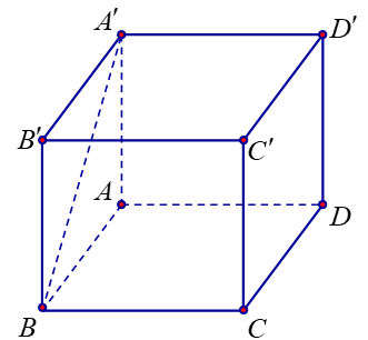 image7.png