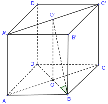 image7.png