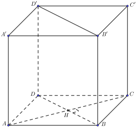 image7.png