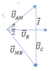 image7.png