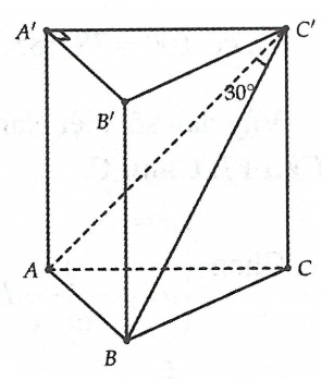 image8.jpg