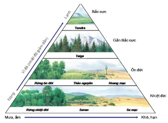 image8.png