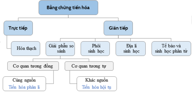 image8.png