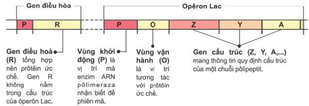 image8.png