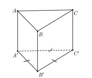 image8.png