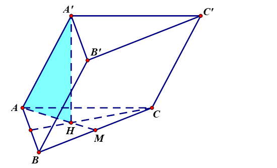 image8.png