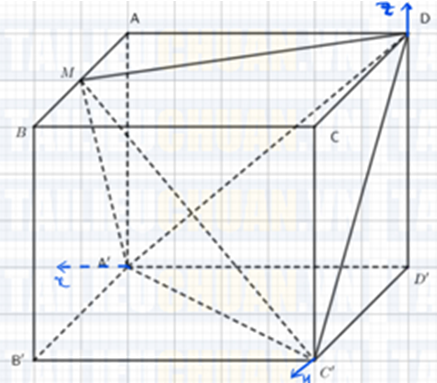 image8.png
