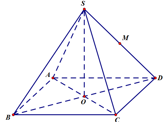 image8.png