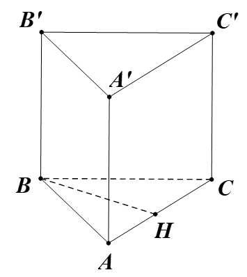 image8.png