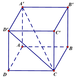 image8.png