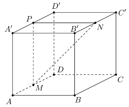 image8.png