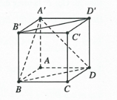 image8.png