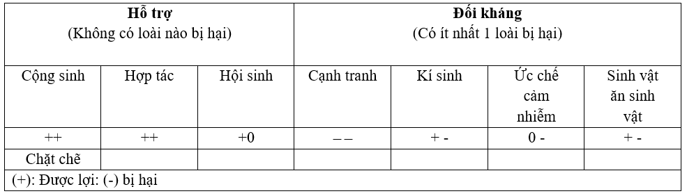 image8.png