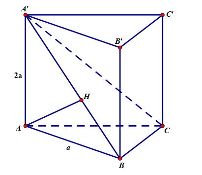 image8.png