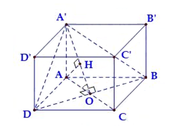 image8.png