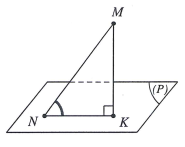image8.png