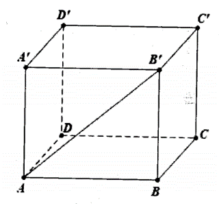 image8.png