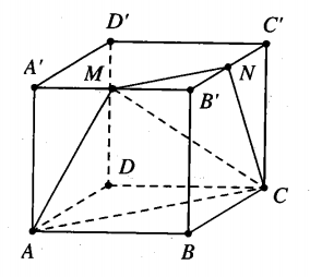image8.png