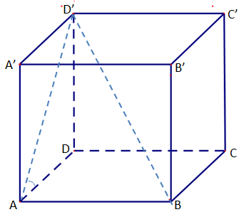image8.png