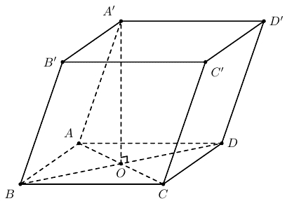 image8.png
