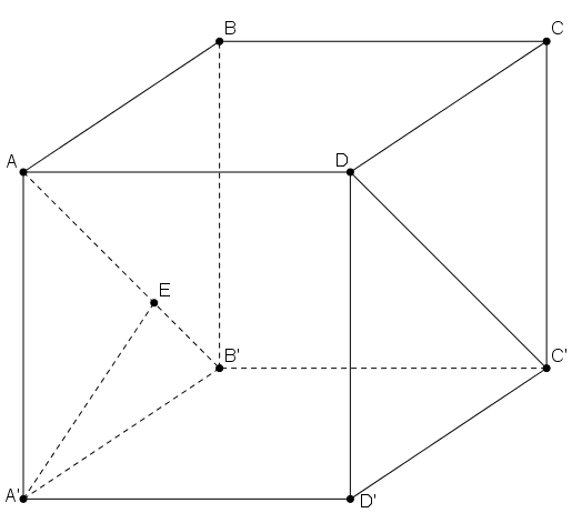 image8.png
