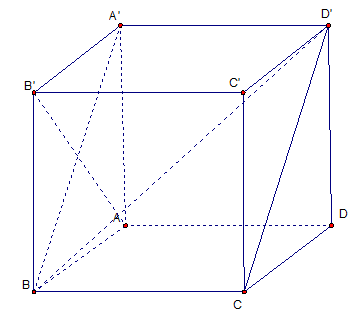 image8.png