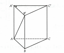 image8.png