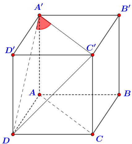 image8.png