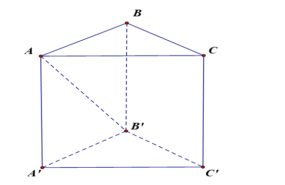 image8.png