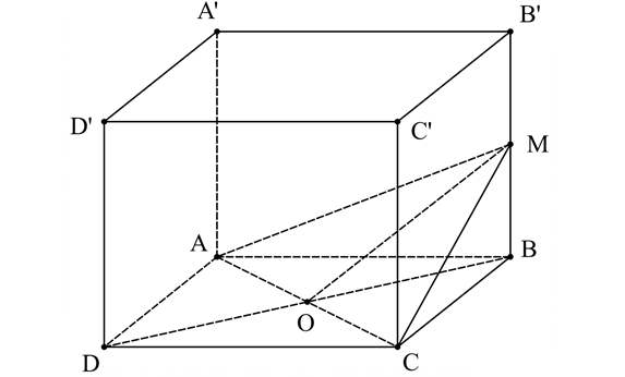 image9.png