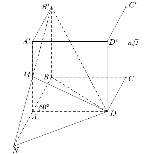 image9.png