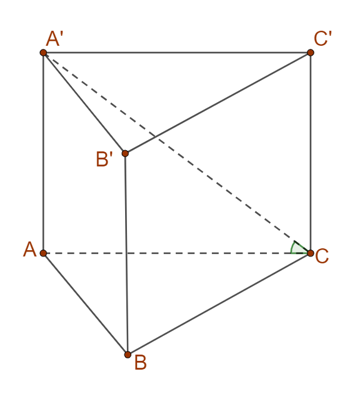 image9.png