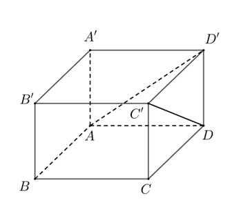 image9.png