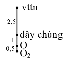 image9.png