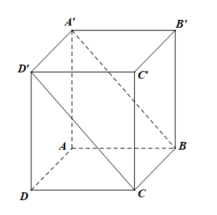 image9.png
