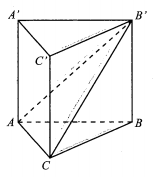 image9.png
