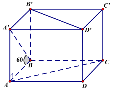 image9.png
