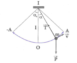 image9.png