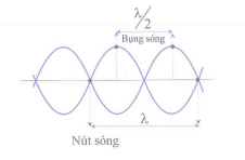 image9.png