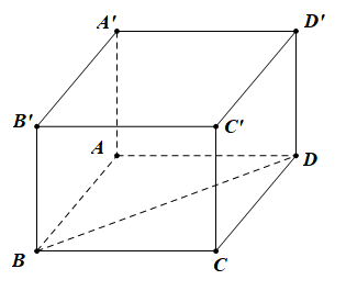 image9.png